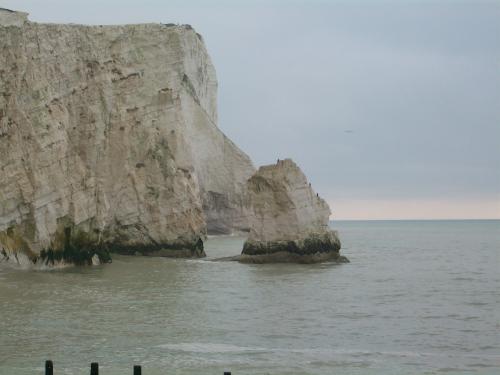 Seaford head